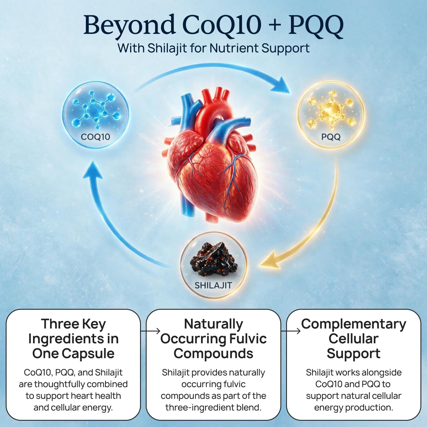 Beyond CoQ10 and PQQ, with Shilajit for nutrient support