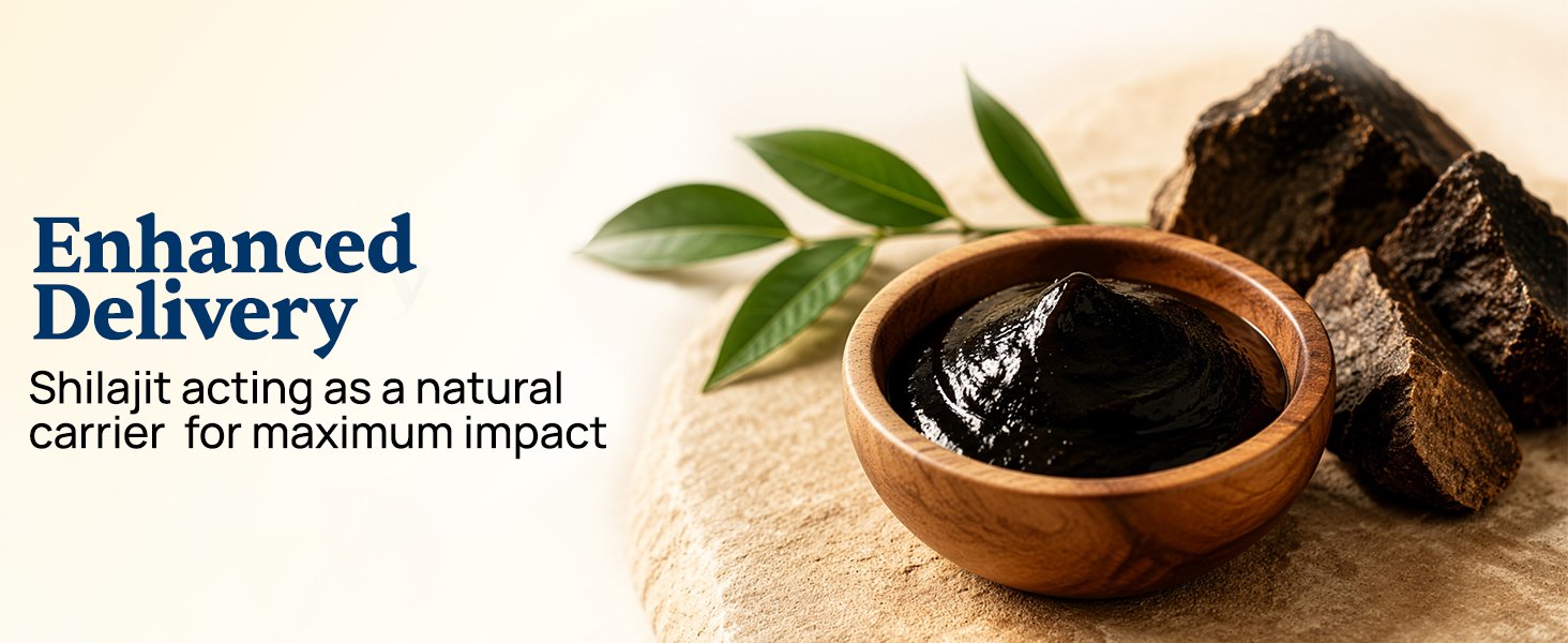 Enhanced Delivery, Shilajit acting as a natural carrier for maximum impact